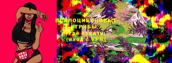 MDMA Гусь-Хрустальный