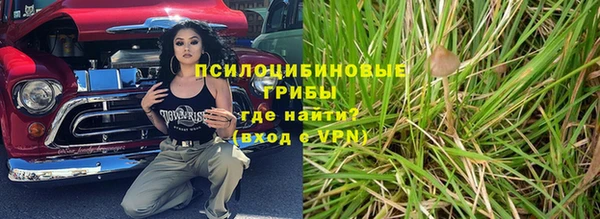 метадон Гусев