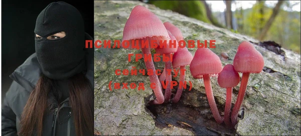 мефедрон Гусиноозёрск
