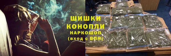 метадон Гусев