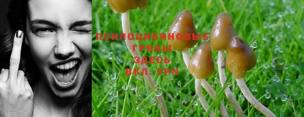 MDMA Гусь-Хрустальный