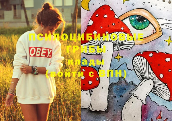 мефедрон Гусиноозёрск